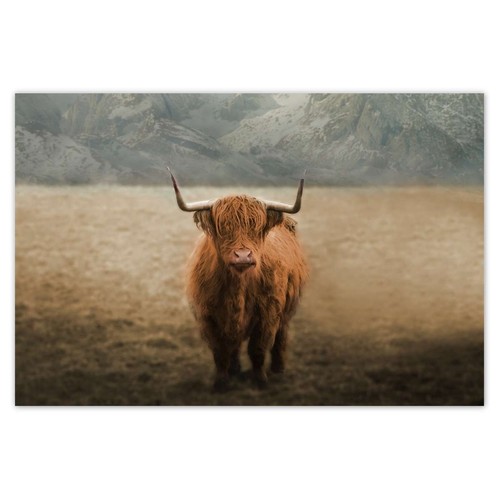 Poster wandtattoo sticker - poster,