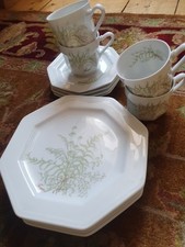 Gallo Leonardo Fougere