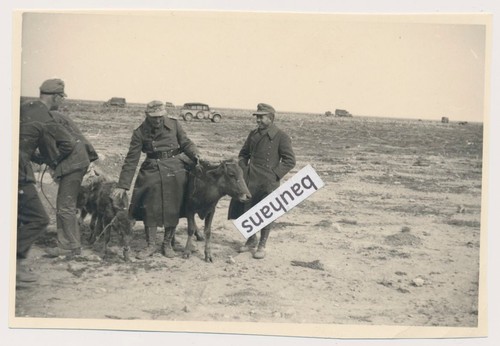 Foto dak deutsche afrikakorps - foto,