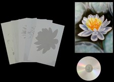 Airbrush Schablone Step by