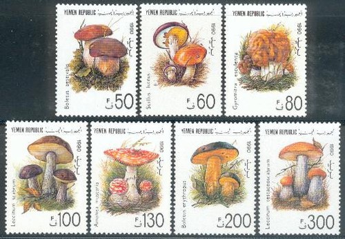 Yemen republic 1991 - republic, **