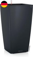 Lechuza Cubico Color 40 -