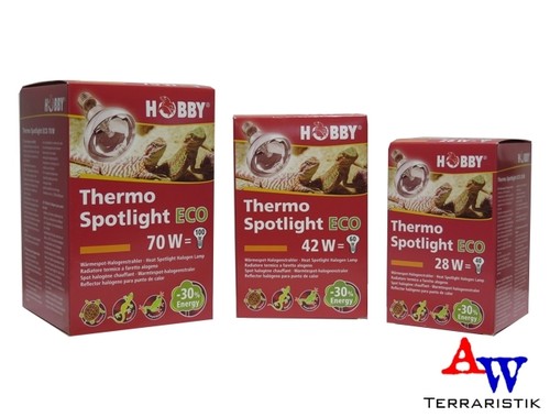 Hobby thermo spotlight - hobby,