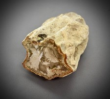 VERSTEINERTES FOSSILES HOLZ +STAMM+ Madagaskar- 340 Gramm / 8,5 x 5,5 x 5 cm #10