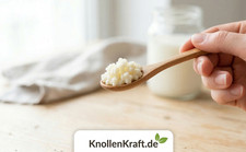 Milchkefir Knollen 3g