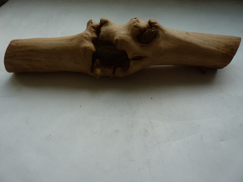 Alter weinstock treibholz - ,