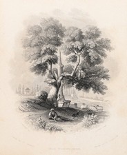 PAYNE (*1812) nach SCHLICKUM (19.Jhd), Farbenliste:grau, weiß, schwarz, Sst.