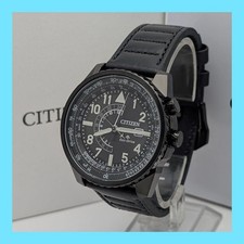 Citizen Promaster Nighthawk