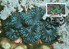 AK MK Kleine Riesenmuschel