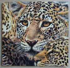 Deko HDF - Tiere Katze Gepard Leopard Raubkatze schöne Augen Liebe Natur Umwelt