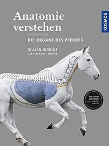 Anatomie verstehen die - anatomie,