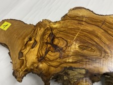 Olivenholz - Stamm -