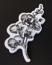 Stempel, Schaumstoff, Gummi