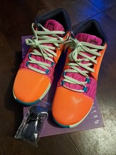 Nike Lebron Witness VIII