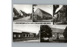Leegebruch 