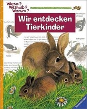 Wir entdecken Tierkinder  von