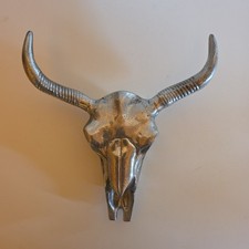 BÜFFEL Kopf/Schädel