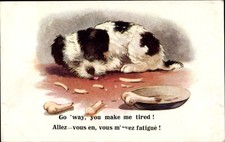 Ak Siesta, schlafender Hund - 4386839