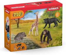 Schleich - Wild Life Bsico Kit