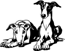 Galgos aufkleber galgo - aufkleber,