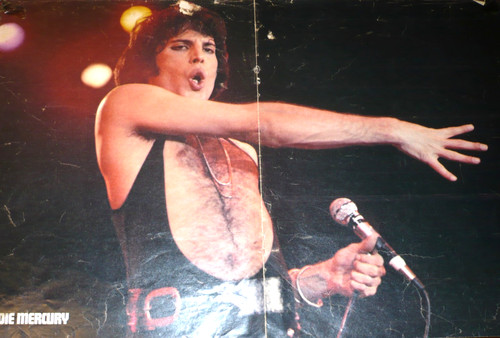 Freddie mercury queen poster - freddie,