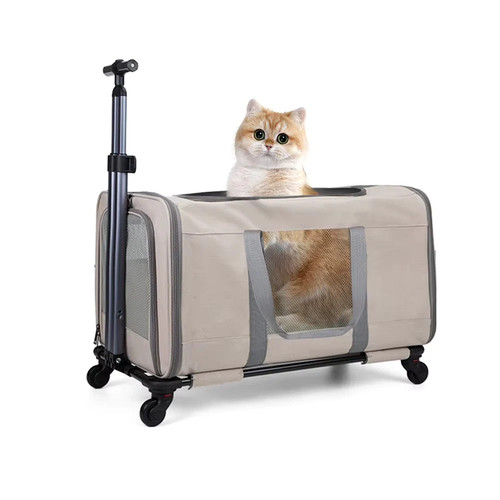 Katzenwagen für katzen - katzen, xxl