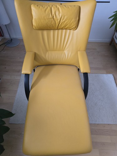 Spot 698 leder arena gelb - spot,