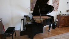 Bechstein Flügel Model M