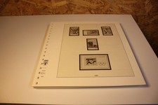 DDR Lindner T falzlos