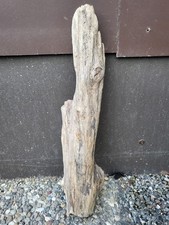 Treibholz Wurzel Ast Brett Terrarium Deko wohnen basteln Lampe