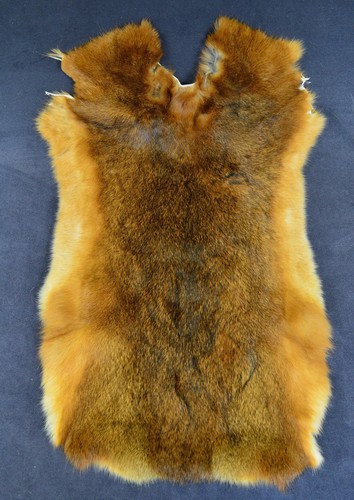 Kaninchenfell pelz fell - kaninchenfell, xl