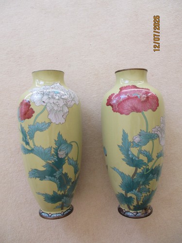 Oder paar cloisonne vase - 2, 1