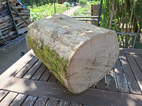 Deko baumstamm akazie holz - deko,