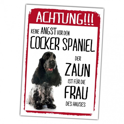 Cocker spaniel schimmel - cocker,