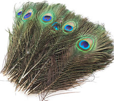 Pfau Federn Künstliche