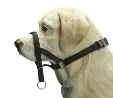 Anti-Zug Erziehungshalfter