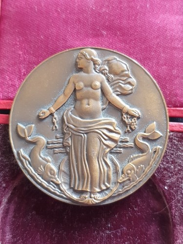 Medaille des schiffes liberte - medaille,