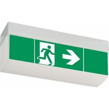 Ceag Notlichtsysteme LED-Einzelbatterie-Leuchte Prüftaster SV EURO4L LED 3h SET