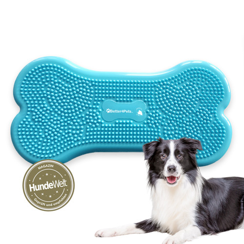 Wolf pack blue - blue, dog
