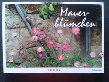 Postkartenbuch, Set 15 Postkarten, Blumen, Mauerblümchen, Postcrossing Schreiben