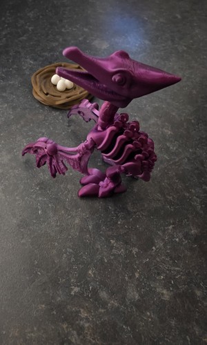 Druck dino skelett - druck,