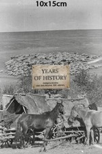 Repro Foto no Original 10x15cm Schafherde Kosaken Don Kuban Terek Kaukasus Ukrai