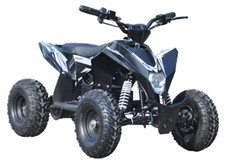 Kinder Quad Elektro ATV 36V