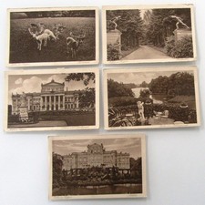 Postkarten Lot 5 x PUTBUS Insel Rügen Postcards Ansichtskarten ungelaufen ~1920