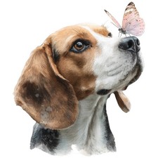 2x Sticker Beagle Car Sticker