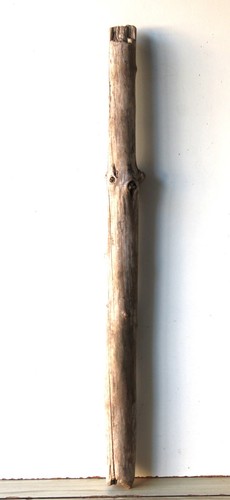 Treibholz schwemmholz - treibholz,