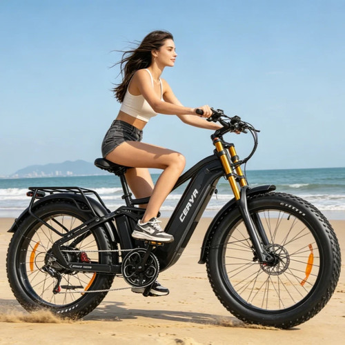 Zoll elektrofahrrad - 26,