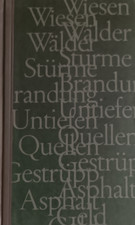 A. E. Johann. Im Strom. Roman.