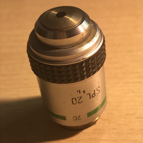 Hund spl 20x mikroskop - 20x,