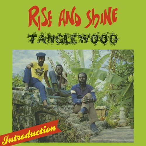 Tanglewood rise and shine - rise,
